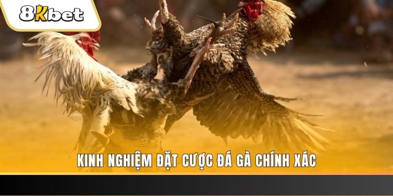 keonhacai xổ số thứ bảy hàng tuần