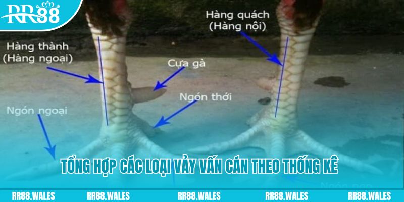 xổ số miền nam thứ sáu