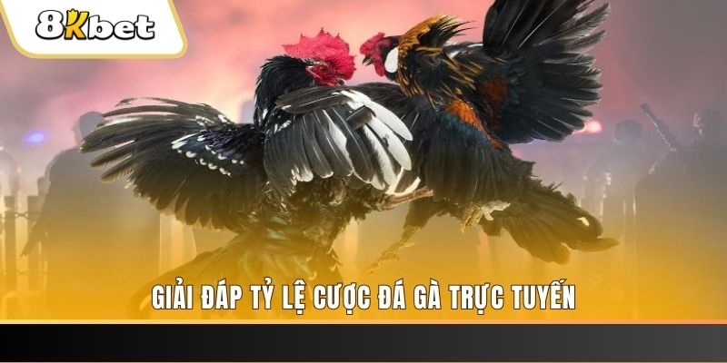keonhacai ban ca online