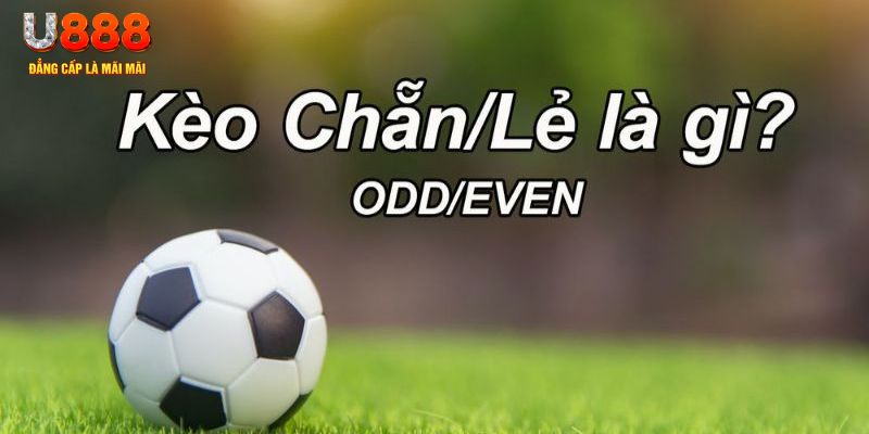 keonhacai đăng nhập sòng bạc 2024